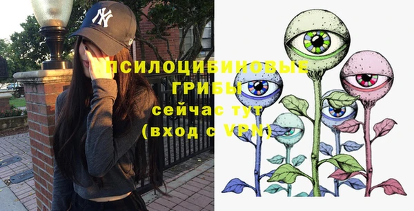 марки nbome Белокуриха