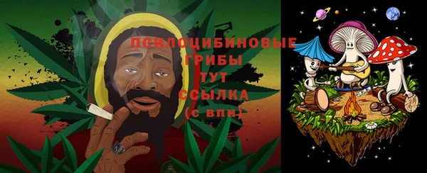 марки nbome Белокуриха