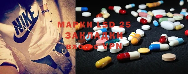 ГАЛЛЮЦИНОГЕННЫЕ ГРИБЫ Беломорск
